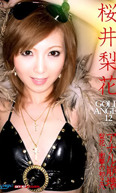Gold Angel Vol 12