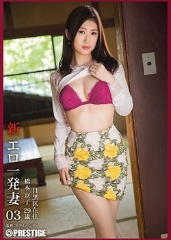 Erotic Wife 03 Hashimoto Kyoko