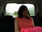 Horny MILF gets off from sex toys in a moving vehicle picture 72