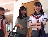 Three hot schoolgirls give head and a tit fuck picture 1