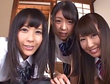 Three pretty Tokyo schoolgirls share a dick and enjoy titfuck