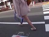Brunette Japanese girl gets picked up and fucked by some guy